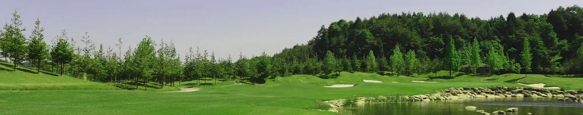 グリーンの写真